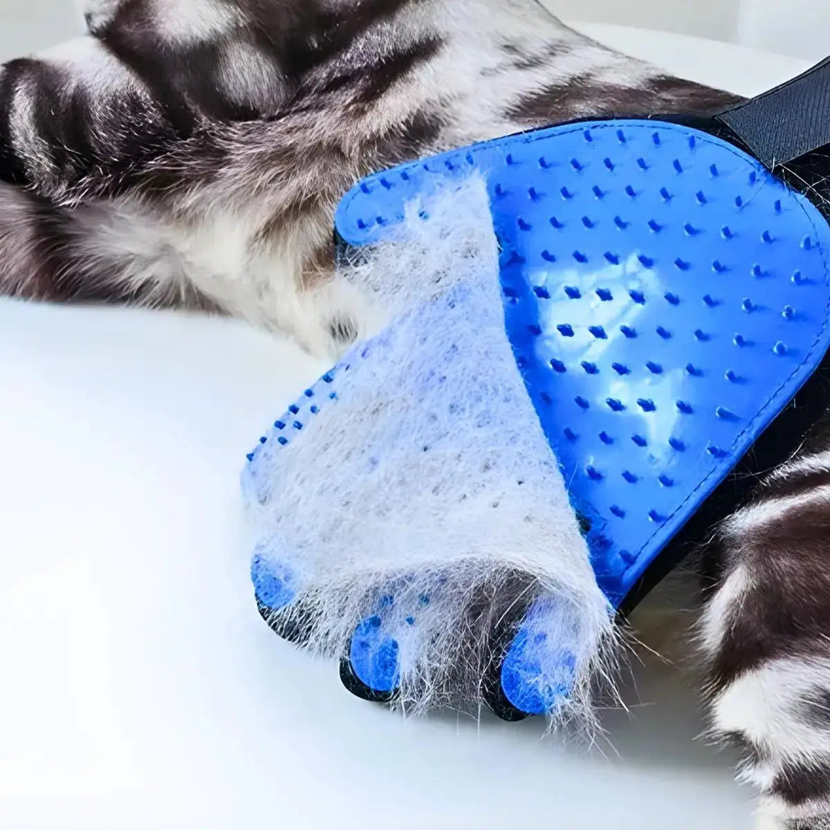Luva Escova Removedora de Pelos para Gatos, Cães e Outros Pets